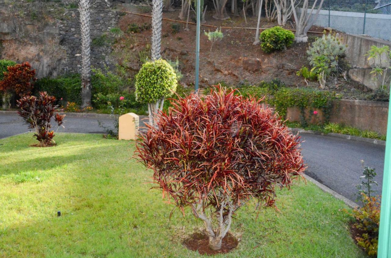Vista Formosa Funchal Διαμέρισμα Εξωτερικό φωτογραφία